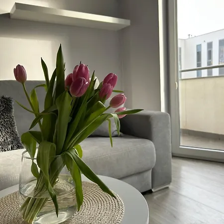 Sloneczne Przymorze Apartament *